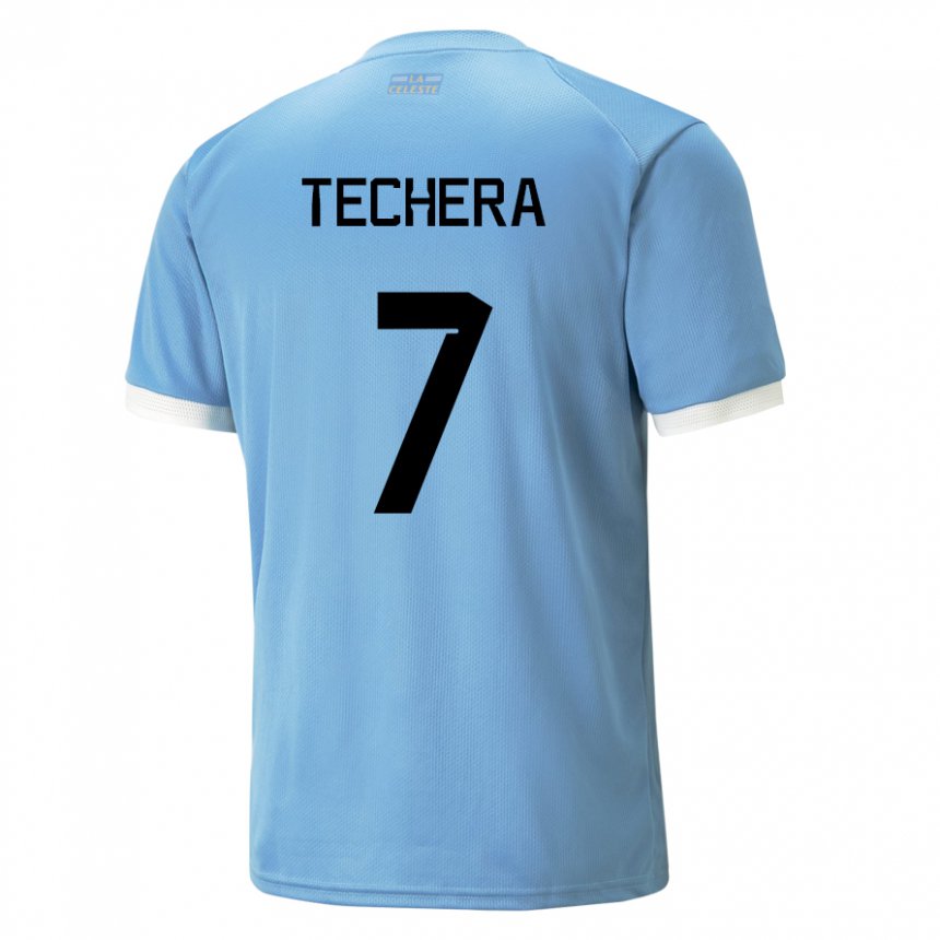 Enfant Maillot Uruguay Facundo Techera #7 Bleu Tenues Domicile 22-24 T-shirt Suisse