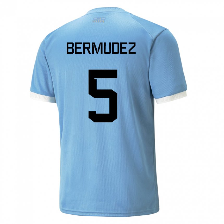 Herren Uruguayische Karol Bermudez #5 Blau Heimtrikot Trikot 22-24 T-shirt Schweiz