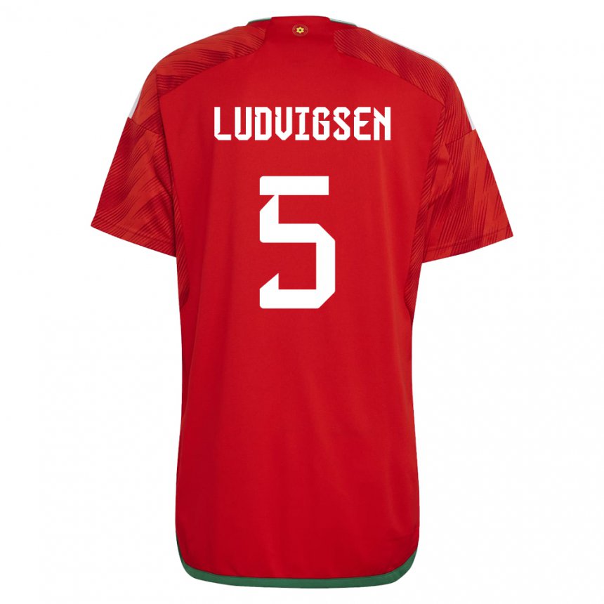 Herren Walisische Kai Ludvigsen #5 Rot Heimtrikot Trikot 22-24 T-shirt Schweiz