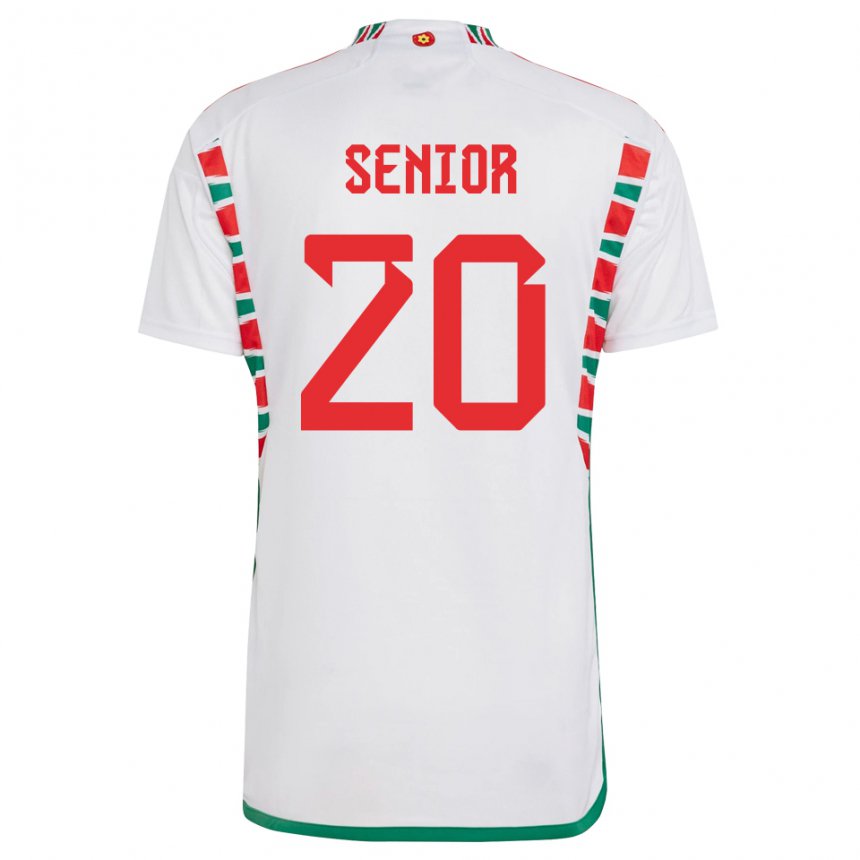 Herren Walisische Matt Senior #20 Weiß Auswärtstrikot Trikot 22-24 T-shirt Schweiz