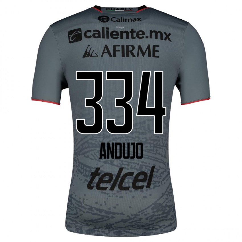 Enfant Maillot Favio Andujo #334 Gris Tenues Extérieur 2023/24 T-Shirt Suisse