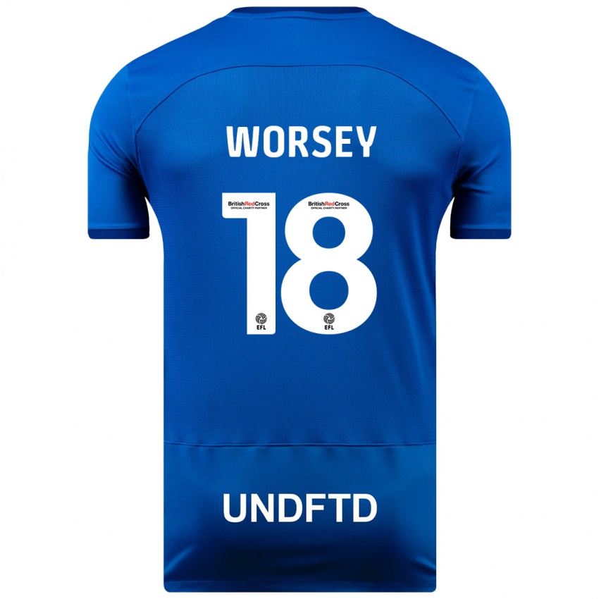 Herren Louanne Worsey #18 Blau Heimtrikot Trikot 2023/24 T-Shirt Schweiz